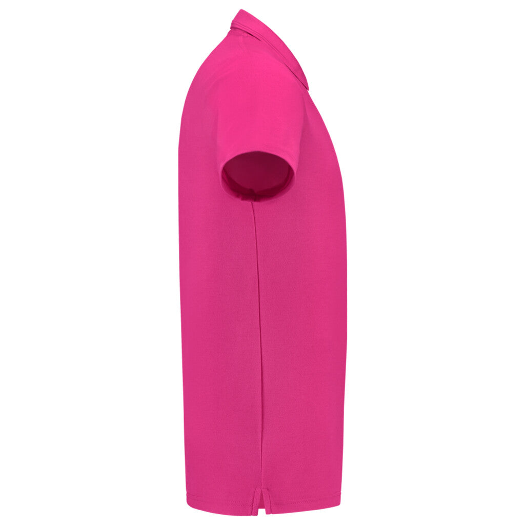 Fuchsia_05