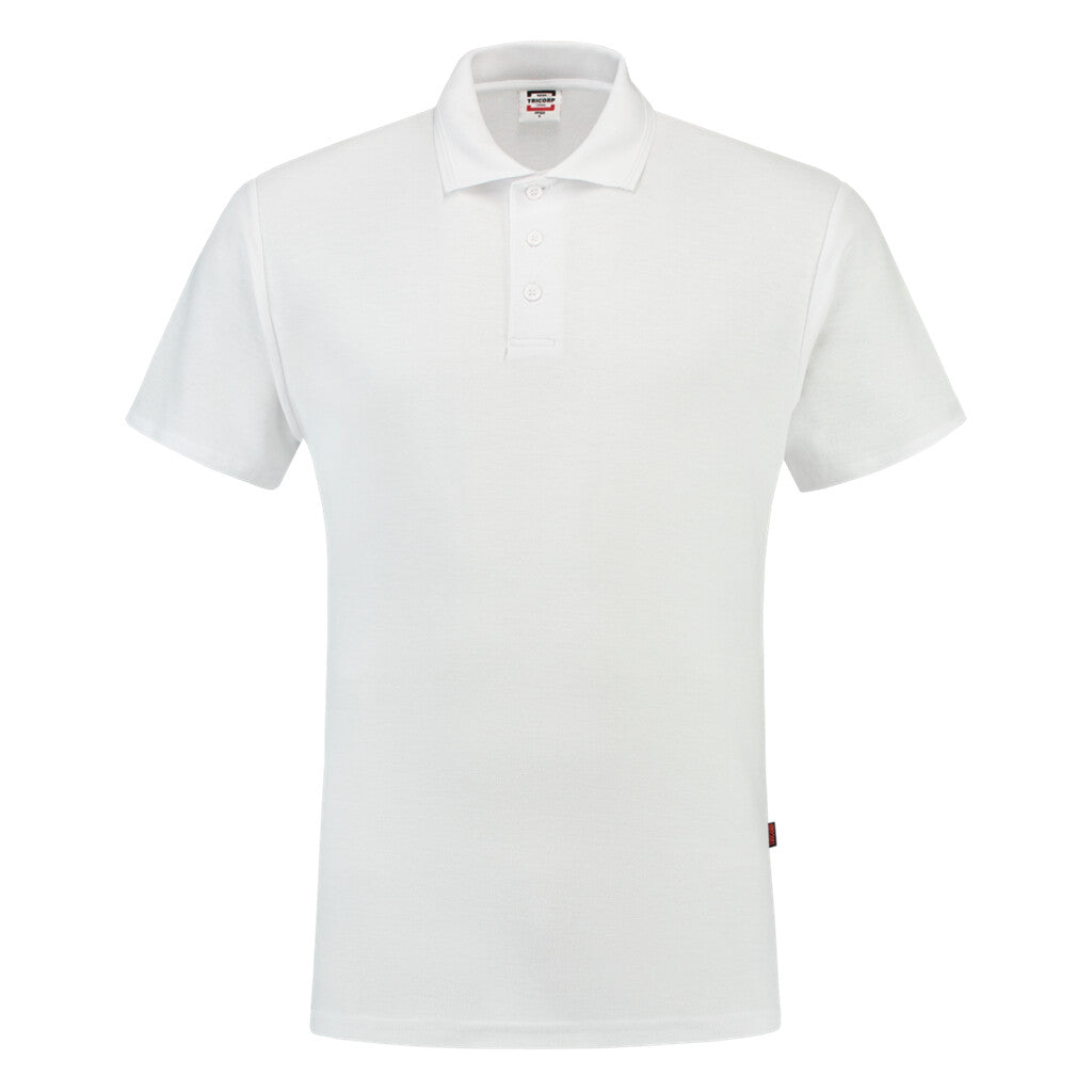 White_02