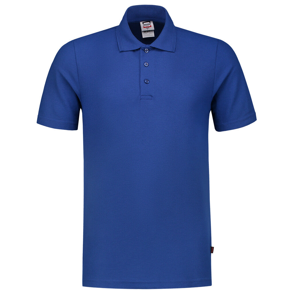 Royal_Blue_02
