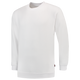White_01