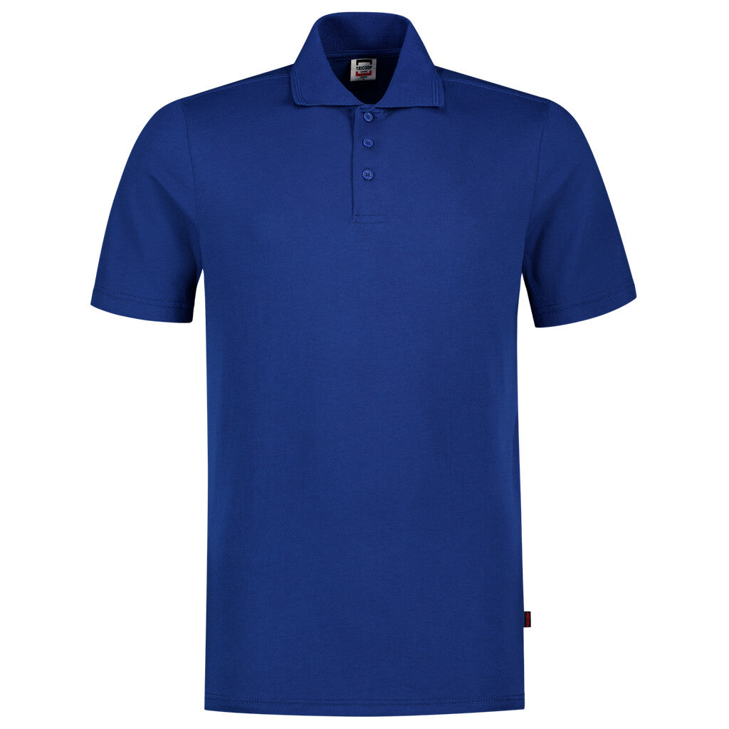 Royal_Blue_02