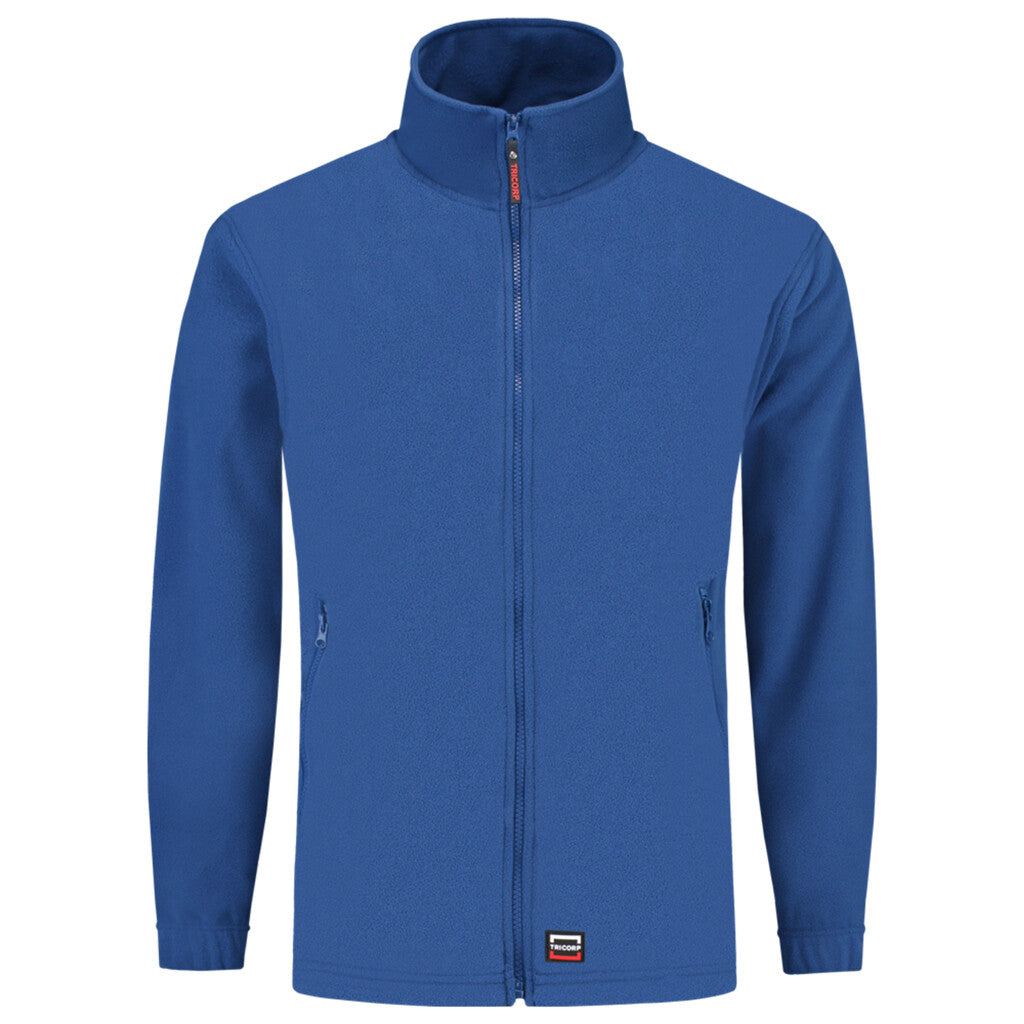 Royal_Blue_02