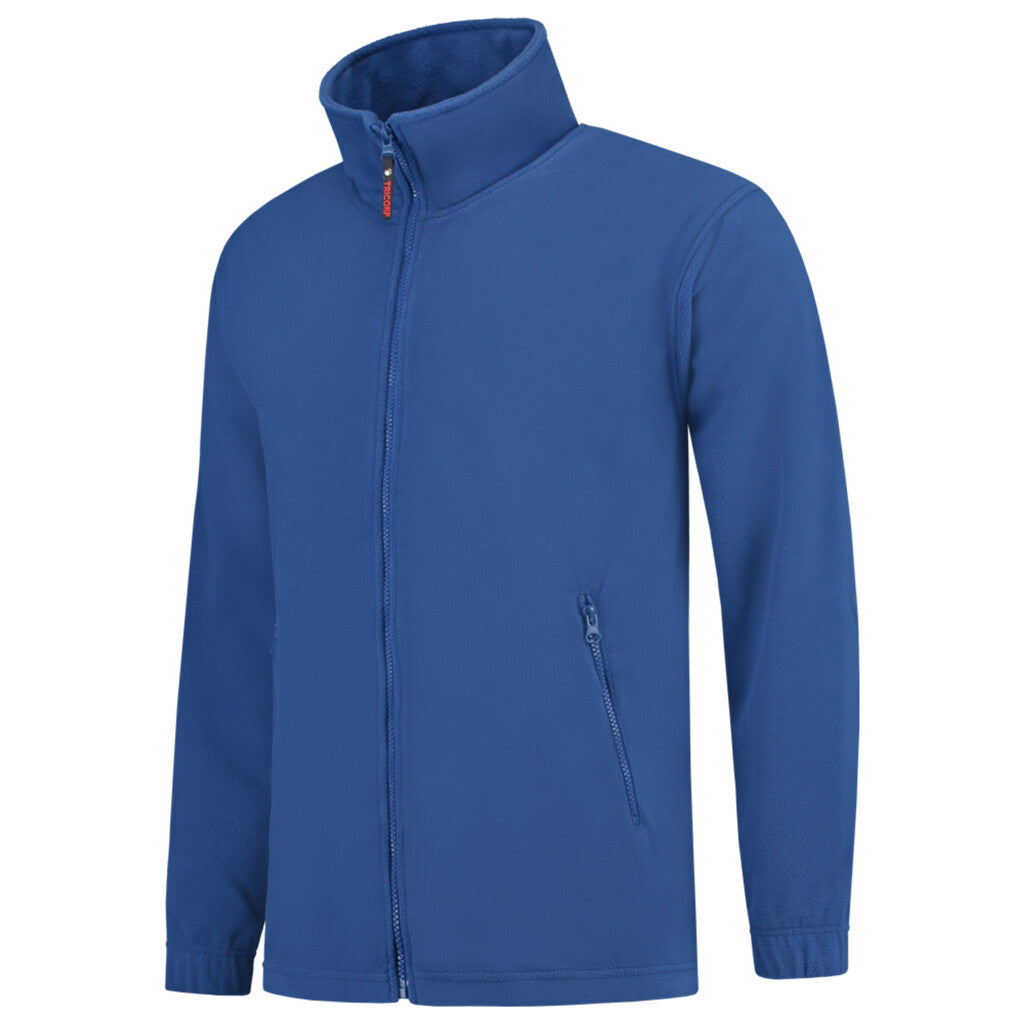 Royal_Blue_01
