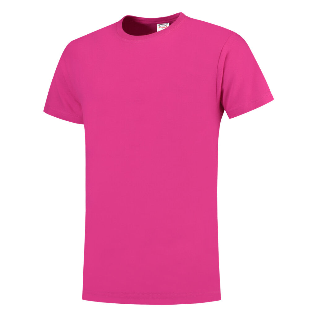 Fuchsia_01