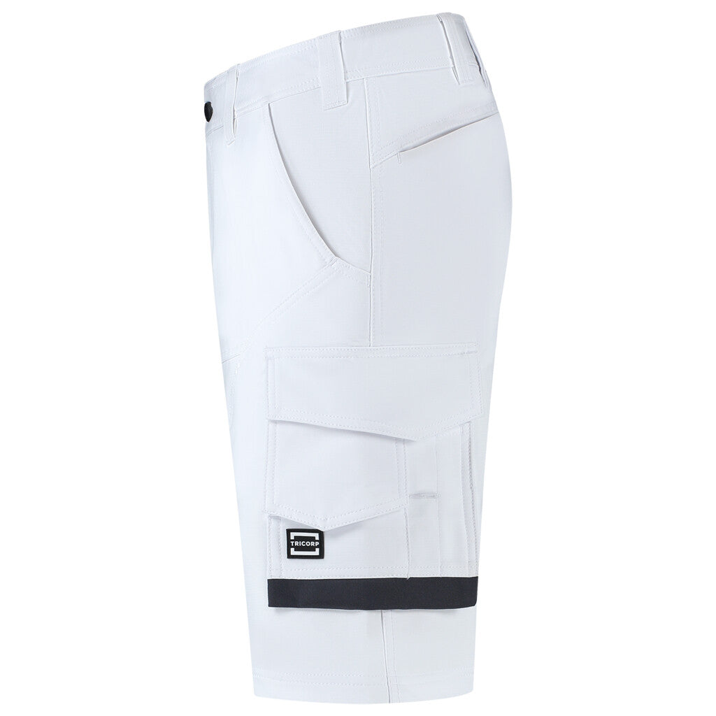 White_04
