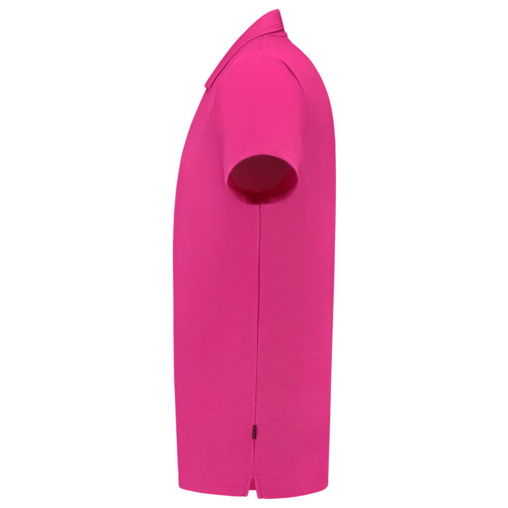 Fuchsia_04
